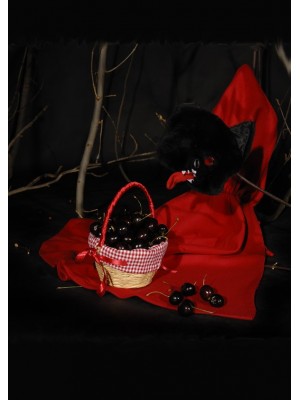 Alice in Wonderland